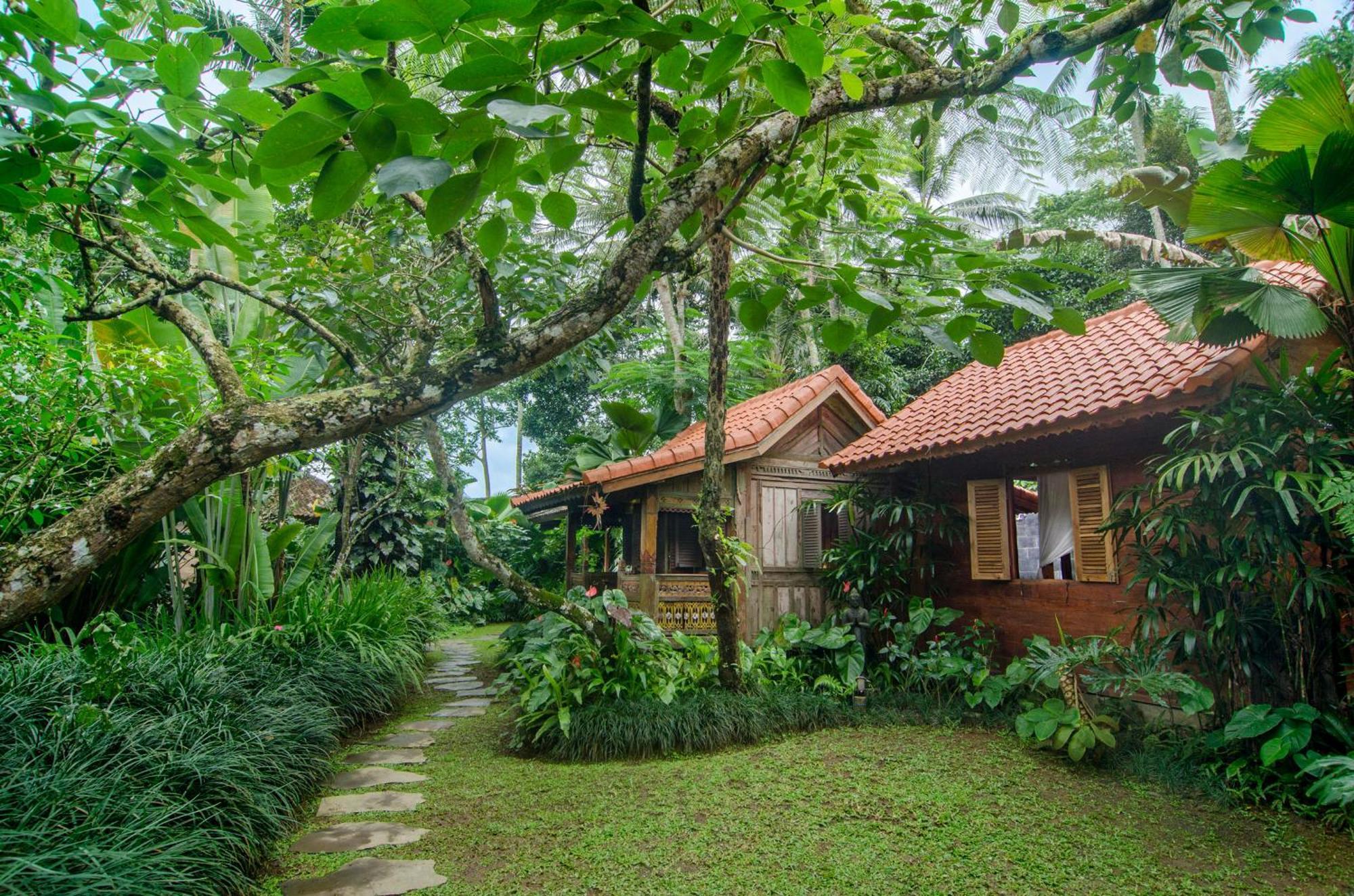 파양간 Dewi Tara Haven B&B 객실 사진