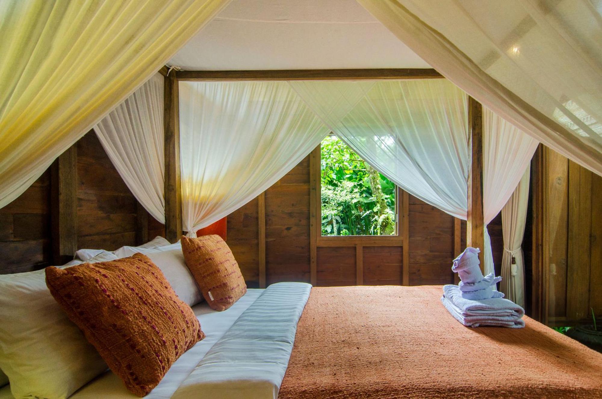 파양간 Dewi Tara Haven B&B 객실 사진
